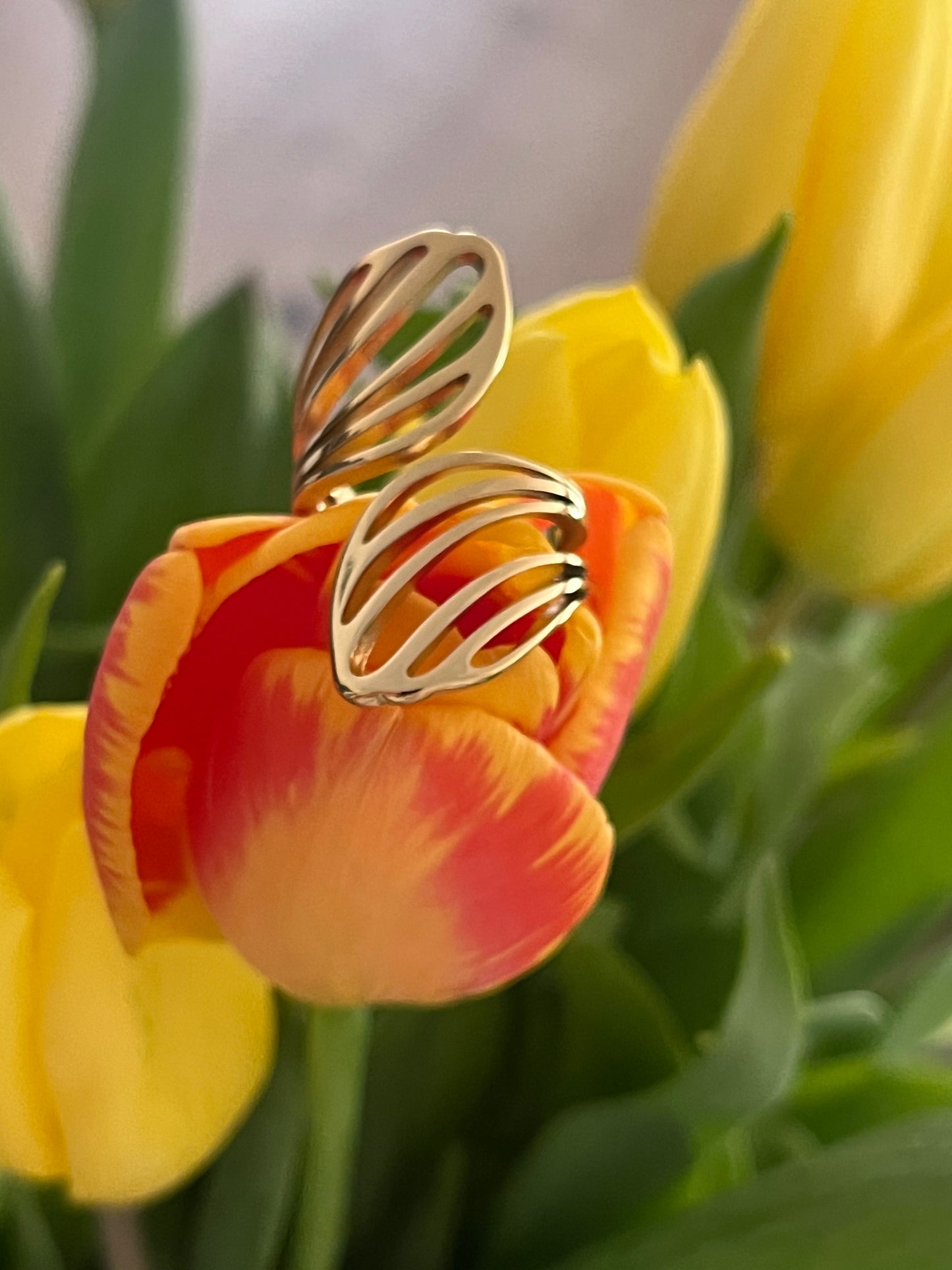 Anillo abierto hoja