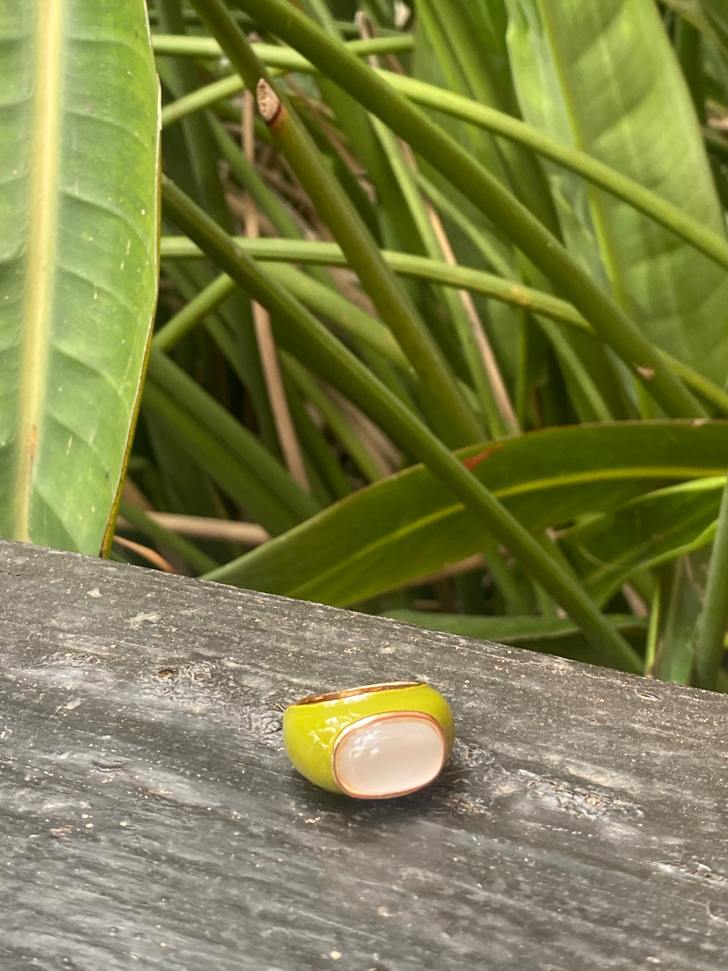 Anillo esmaltado con nácar